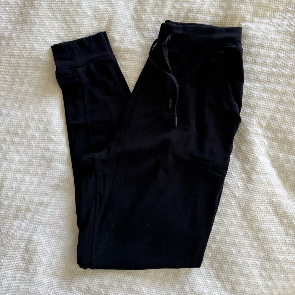 Cozy Earth Joggers